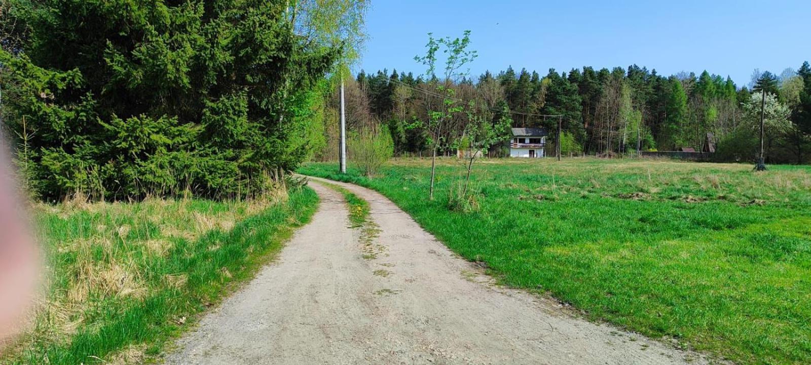 U Gienka Pod Lasem Farm stay *